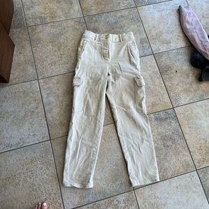 Aritzia cargo pant